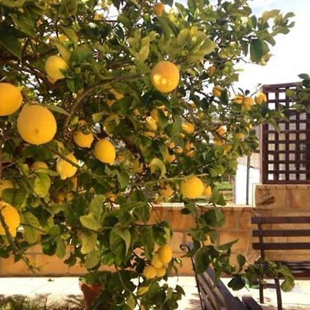 Villa Mara B&B Νότο Εξωτερικό φωτογραφία