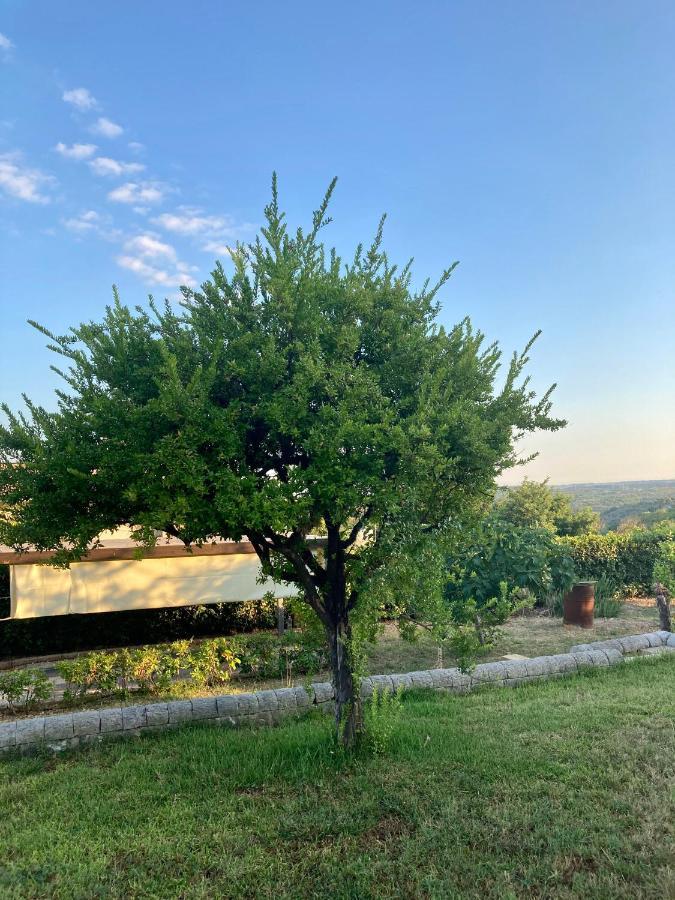 Villa Mara B&B Νότο Εξωτερικό φωτογραφία