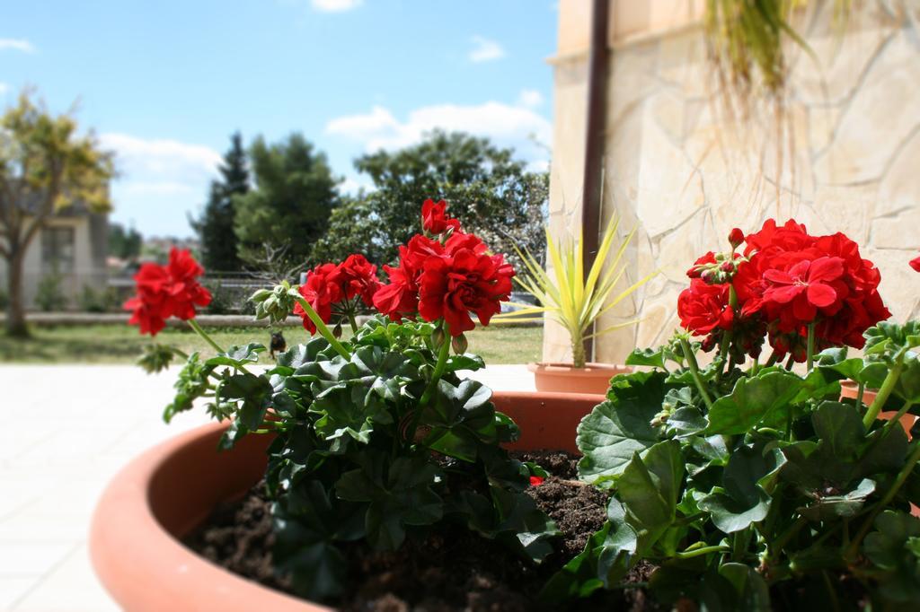 Villa Mara B&B Νότο Εξωτερικό φωτογραφία
