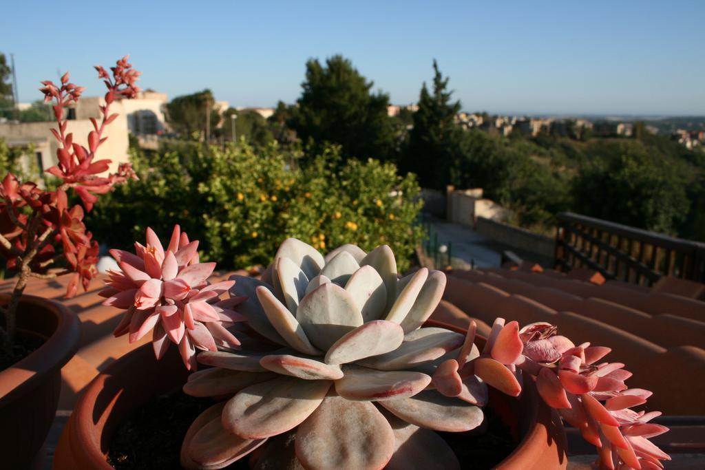 Villa Mara B&B Νότο Εξωτερικό φωτογραφία