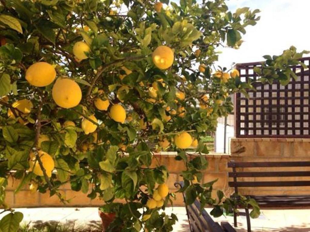 Villa Mara B&B Νότο Εξωτερικό φωτογραφία